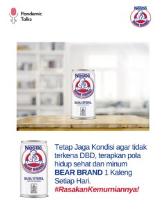 Bear 6