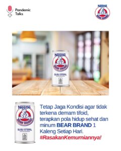 Bear 8